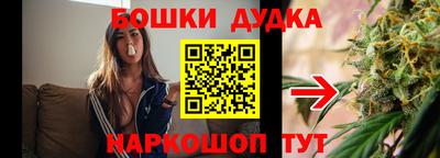 СК Сосновый Бор