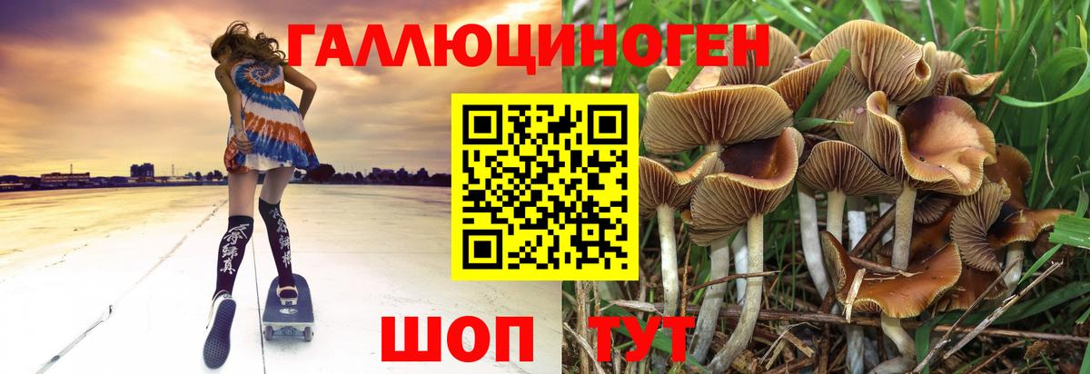 Псилоцибиновые грибы прущие грибы Ефремов